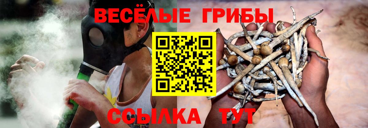 Ярославль  Псилоцибиновые грибы MAGIC MUSHROOMS  Вход с VPN 